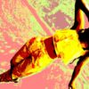 Hip Hop Basic Choreografie | Health & Fitness Dance Online Course by Udemy