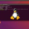 Curso Linux - Linhas de Comando Terminal Bash Essentials. | It & Software Operating Systems Online Course by Udemy