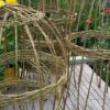 Willow Weaving Garden Obelisks and Plant Cages. | Lifestyle Arts & Crafts Online Course by Udemy