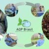 Curso online de Aquaponia Comercial da AQP Brasil | Business Project Management Online Course by Udemy