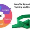 Lean Six Sigma Green Belt Certification Training | Business Management Online Course by Udemy