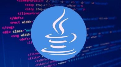 Beginner Java for First-Time Programmers