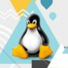 Introduccin a Servidores Linux con Ubuntu Server 20.04 LTS | It & Software Operating Systems Online Course by Udemy