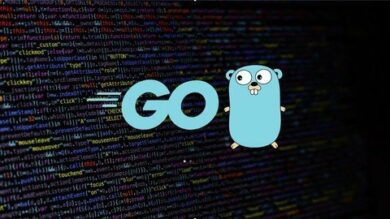 GoGolang(Go) + + web(CRUD) | It & Software Network & Security Online Course by Udemy