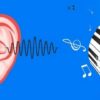 Ear Training Exercises | Music Music Fundamentals Online Course by Udemy