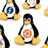 Operador GNU/Linux | It & Software Operating Systems Online Course by Udemy