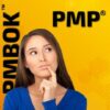 PMP Exam Prep Questions - PMBOK 6th Edition | Business Management Online Course by Udemy