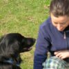 Corso di Addestramento Completo per Educare il Cane | Lifestyle Pet Care & Training Online Course by Udemy