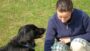 Corso di Addestramento Completo per Educare il Cane | Lifestyle Pet Care & Training Online Course by Udemy