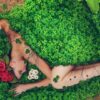 Sanacin con hierbas para Mujeres | Lifestyle Esoteric Practices Online Course by Udemy