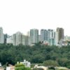 Captao Imobiliria Ativa na Prtica para a cidade de SP. | Business Real Estate Online Course by Udemy