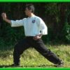 ESTJQA - Introduccin al TaiJi Quan / Tai Chi estilo Chen | Health & Fitness General Health Online Course by Udemy