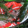 Learning how to catch redclaw crayfish crawfish fishing | Lifestyle Travel Online Course by Udemy