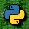 Fundamentos de Programacin + Python de Principiante a Pro | Development Programming Languages Online Course by Udemy