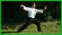 ESTJQC - TaiJiQuan / TaiChiChuan estilo Chen LaoJia Nivel 1 | Health & Fitness Self Defense Online Course by Udemy