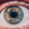 Learn to evaluate wellness through the iris (iridology) | Health & Fitness General Health Online Course by Udemy