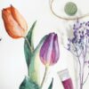 Watercolor Botanical Series: Paint Tulips Step by Step | Lifestyle Arts & Crafts Online Course by Udemy