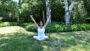 Yoga Para La Digestin y El Metabolismo | Health & Fitness Yoga Online Course by Udemy