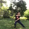 Sparring Tai Chi-Chen New Frame Routine 2 for Fitness | Health & Fitness General Health Online Course by Udemy