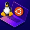 Linux Basics for Beginners | It & Software Operating Systems Online Course by Udemy