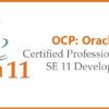 Java SE 11 Developer 1Z0-819 OCP Exam - Practice Tests 2021 | It & Software It Certification Online Course by Udemy