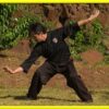 ESPGZA - Introduccin a PiGua Zhang | Health & Fitness Self Defense Online Course by Udemy