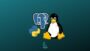 PostgreSQL en Linux desde Cero y Automatizacin con Python 3 | Development Database Design & Development Online Course by Udemy