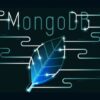 Mongo GoLang Go Python PHP Node React Management Interface | Development Web Development Online Course by Udemy