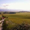 How To Walk The Camino de Santiago | Lifestyle Travel Online Course by Udemy