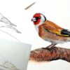 How To Paint in Watercolor a Realistic Bird Goldfinch | Lifestyle Arts & Crafts Online Course by Udemy