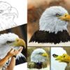 How To Paint in Watercolor a Realistic Bald Eagle Bird | Lifestyle Arts & Crafts Online Course by Udemy