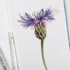 botanicalart | Lifestyle Arts & Crafts Online Course by Udemy
