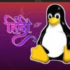 Linux Command Line Terminal Basic for Beginners () | It & Software Operating Systems Online Course by Udemy
