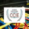 Cisco CCIE: CCIE Routing and Switching Written Certification | It & Software Network & Security Online Course by Udemy