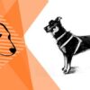 Drawing Dogs: Basic Techniques to Improve Your Illustrations | Lifestyle Arts & Crafts Online Course by Udemy