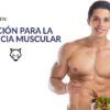 Nutricin para Ganancia Muscular | Health & Fitness Fitness Online Course by Udemy