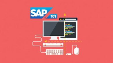 The Complete SAP S/4HANA Bootcamp 2021: Go from Zero to Hero | Office Productivity Sap Online Course by Udemy