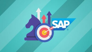 SAP Basis One-on-One Foundation: From Novice to Professional | Office Productivity Sap Online Course by Udemy