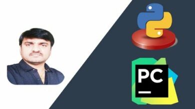 Basics of Python Programming for Beginners | It & Software Other It & Software Online Course by Udemy