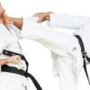 Learn Beginner Tang Soo Do Karate - Level 3 | Health & Fitness Self Defense Online Course by Udemy