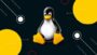Learn Linux Operating System From Basic To Advanced! | It & Software Operating Systems Online Course by Udemy