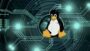 Learn Linux Basics Fast/Practical | It & Software Operating Systems Online Course by Udemy