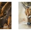 Nyala Head in Pen and Ink with Watercolour Washes | Lifestyle Arts & Crafts Online Course by Udemy