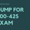 Latest Cisco 300-425 ENWLSD Exam Dumps Questions & Answers | It & Software It Certification Online Course by Udemy