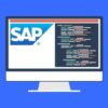 SAP ABAP Object Oriented Programming (OOP) | Office Productivity Sap Online Course by Udemy
