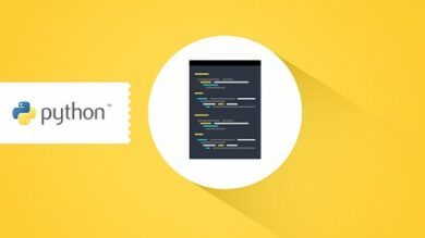 Python Programming for Beginners | Development Programming Languages Online Course by Udemy