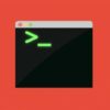Basics of Bash Scripting | Development Programming Languages Online Course by Udemy