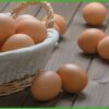 Cooking Eggs: The Best Recipes for Cheap & Healthy Cooking | Lifestyle Food & Beverage Online Course by Udemy