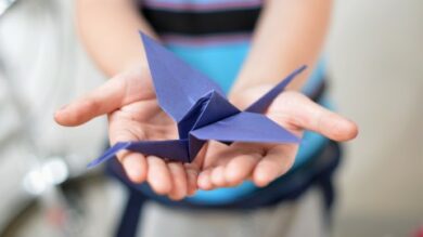 Easy Origami At The Craft Academy | Lifestyle Arts & Crafts Online Course by Udemy