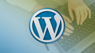 WordPress Plugin Development - Build 14 Plugins | Development Web Development Online Course by Udemy